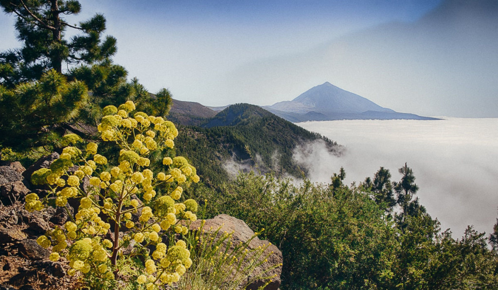 teide4