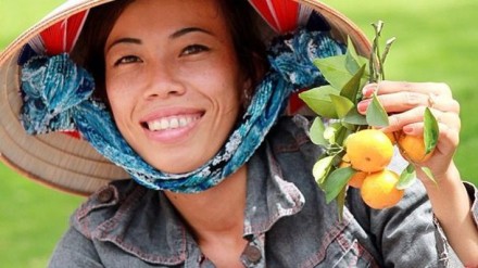 вьетнам из минска