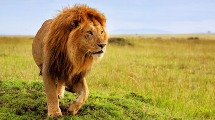 kenya-tanzania