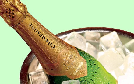 champagne