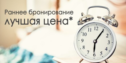 253_w9slk9_rect