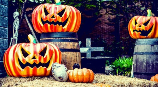 45041877_1332255543583721_8777795237461360640_n