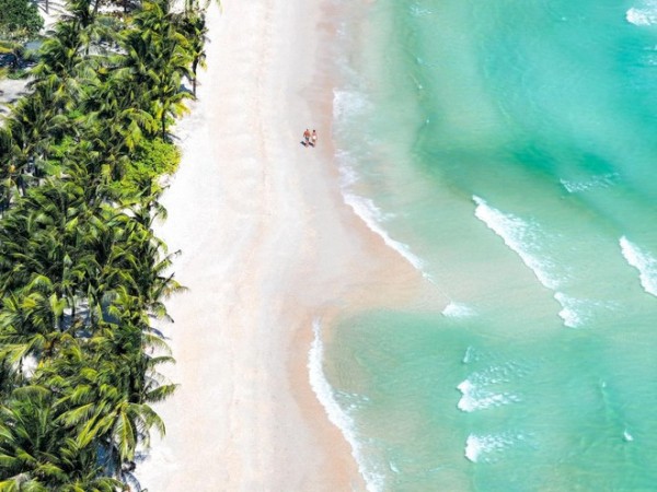 фукок из минска